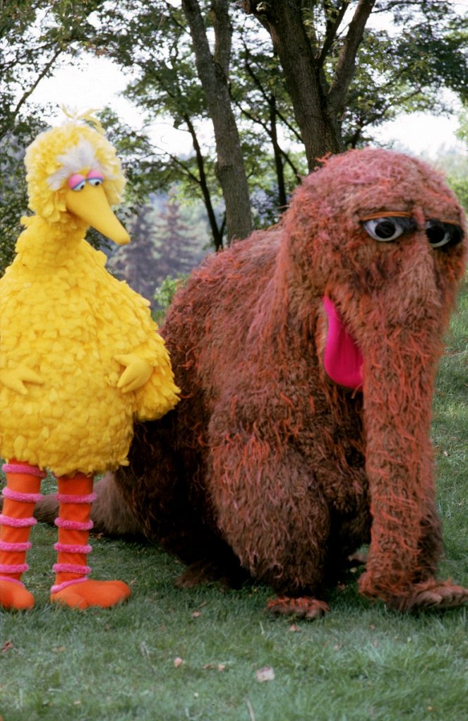 Sesame Street Presents: Follow That Bird - Z filmu