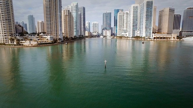 Amerikas Flüsse - Der Miami River – Krokodile und Kreuzfahrtschiffe - Filmfotos