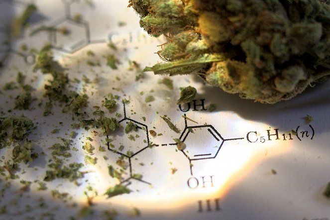 Cannabis, un super médicament ? - Kuvat elokuvasta