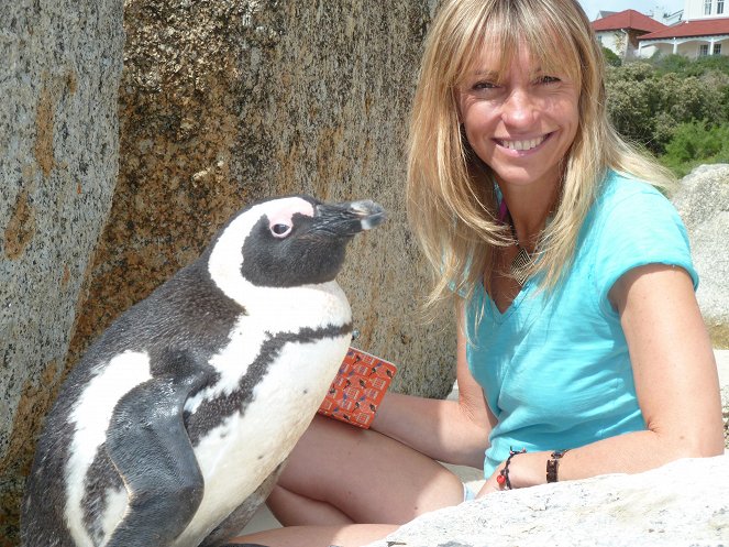 The Great Penguin Rescue - Photos - Michaela Strachan