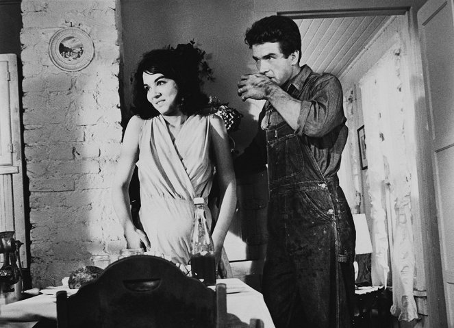 Fieber im Blut - Filmfotos - Zohra Lampert, Warren Beatty