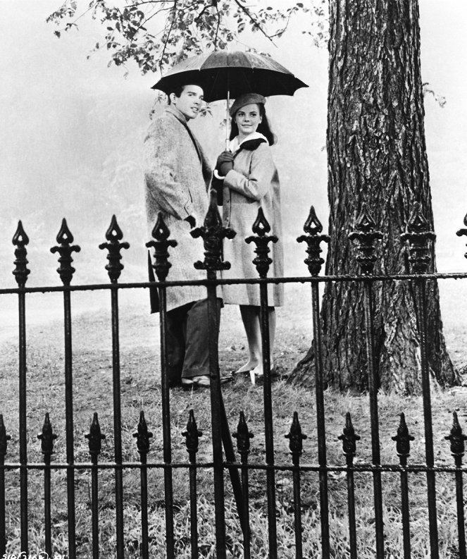 Třpyt v trávě - Z filmu - Warren Beatty, Natalie Wood