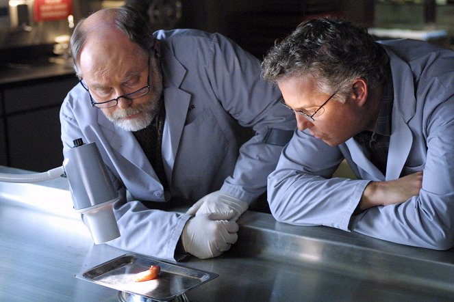 CSI: Crime Scene Investigation - Season 2 - The Finger - Photos - Robert David Hall, William Petersen