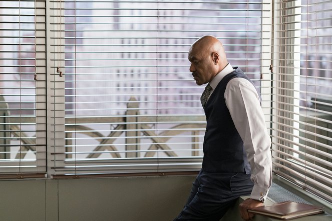 The Good Fight - Season 1 - Social Media and Its Discontents - Photos - Delroy Lindo