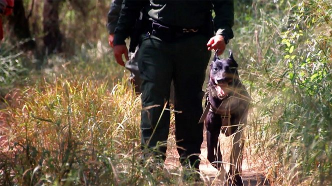 Amerikas heiße Grenze: Die Hundestaffel - Filmfotos