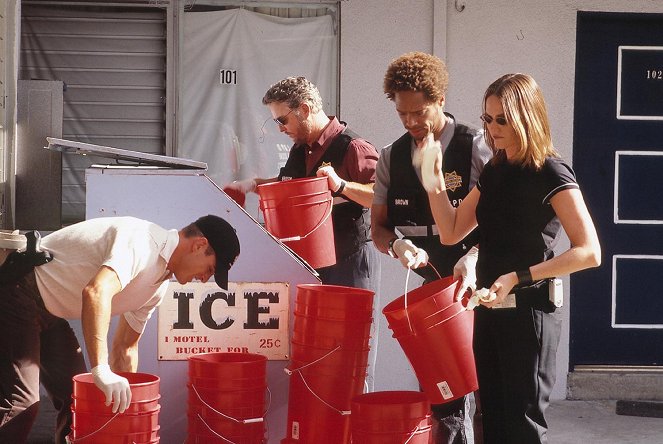 CSI: Crime Scene Investigation - Season 4 - Assume Nothing - Photos - George Eads, William Petersen, Gary Dourdan, Jorja Fox