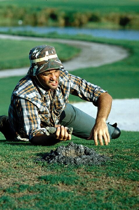 Caddyshack - Photos - Bill Murray