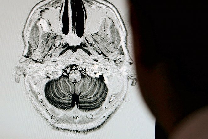 Man or Machine: Creating the Artificial Brain - Photos