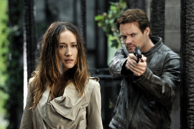 Nikita - Do filme