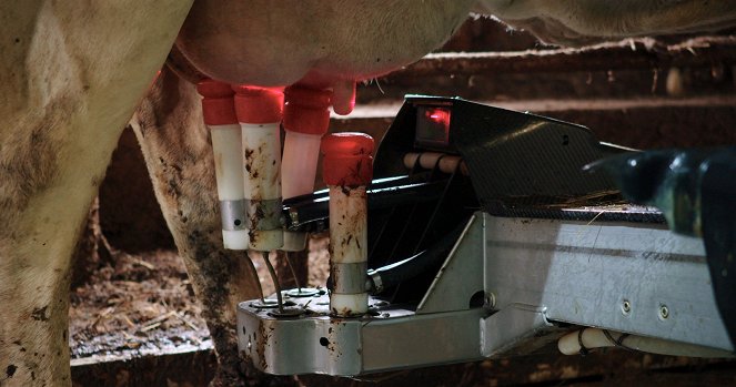 Das System Milch - Van film