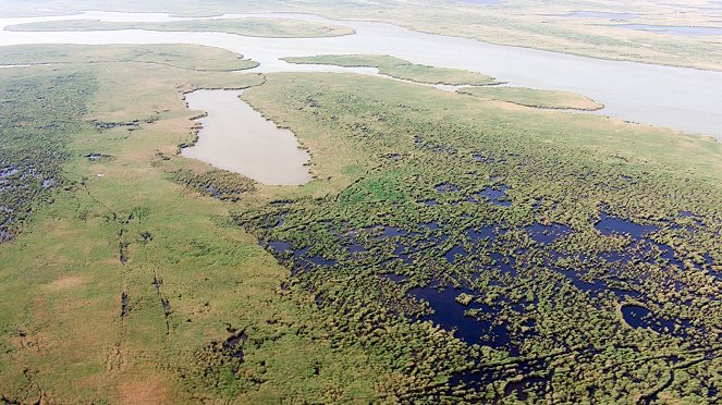 Univerzum - A Fertő-tó vadvilága - Filmfotók