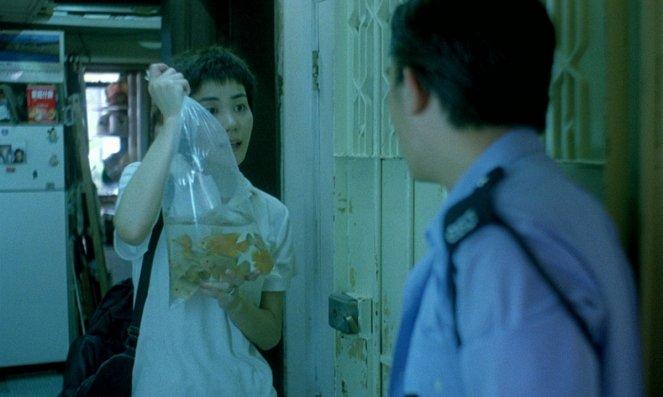 Chongqing senlin - Z filmu