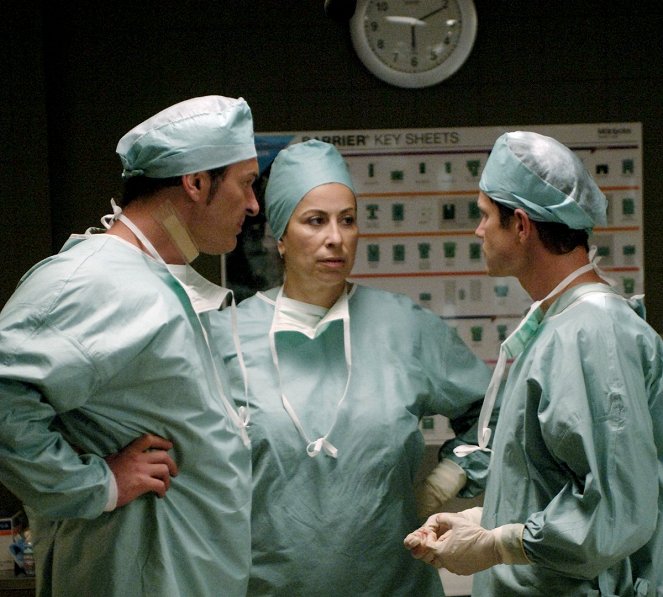 Plastická chirurgie s. r. o. - Série 3 - Z filmu - Julian McMahon, Roma Maffia, Dylan Walsh