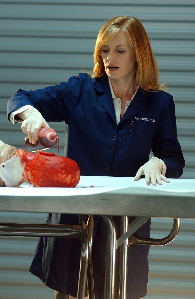 CSI: Crime Scene Investigation - Compulsion - Van film - Marg Helgenberger