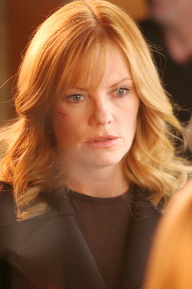 Les Experts - Weeping Willows - Film - Marg Helgenberger