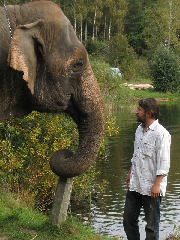 The Elephant - Making of - Sergey Shnurov