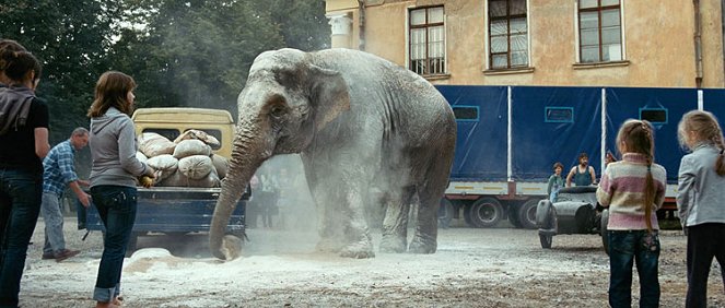 Slon - Z filmu
