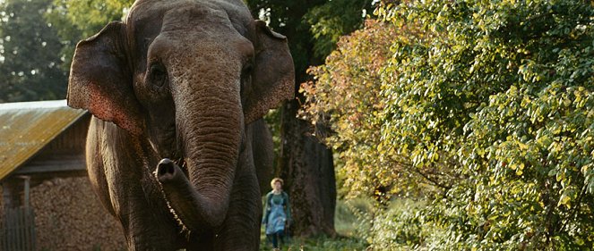 Slon - Filmfotók