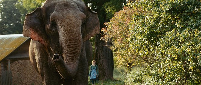 The Elephant - Photos