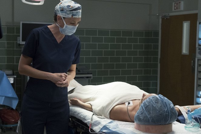 Chirurgové - Série 14 - Zbořit dům - Z filmu - Ellen Pompeo