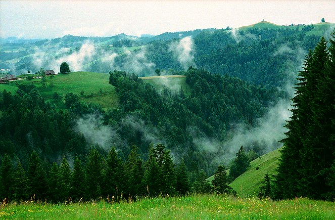 Herz im Emmental - De filmes