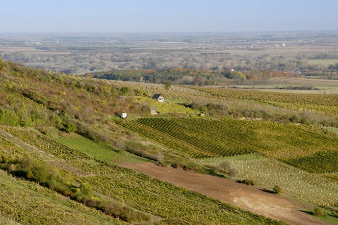 A világ híres borvidékei - Hongrie – Le roi des vins, le vin des rois - Filmfotók