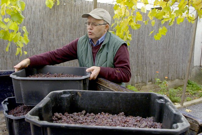 A világ híres borvidékei - Season 1 - Hongrie – Le roi des vins, le vin des rois - Filmfotók