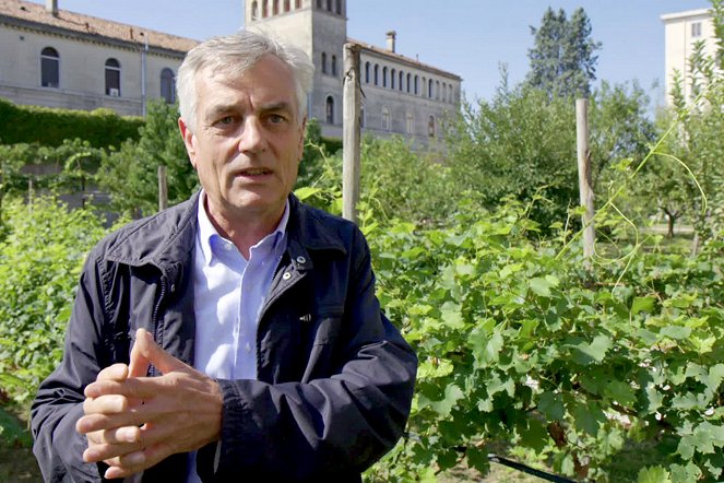 Die wunderbare Welt der Weine - Italien - Prosecco und das Lebensgefühl des Veneto - Filmfotos