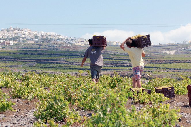 A világ híres borvidékei - Grèce – La vigne de Santorin, héritage de l'Antiquité - Filmfotók