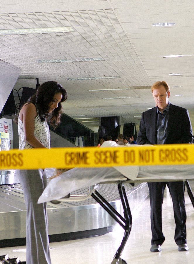CSI: Kryminalne zagadki Miami - Flight Risk - Z filmu - Megalyn Echikunwoke, David Caruso