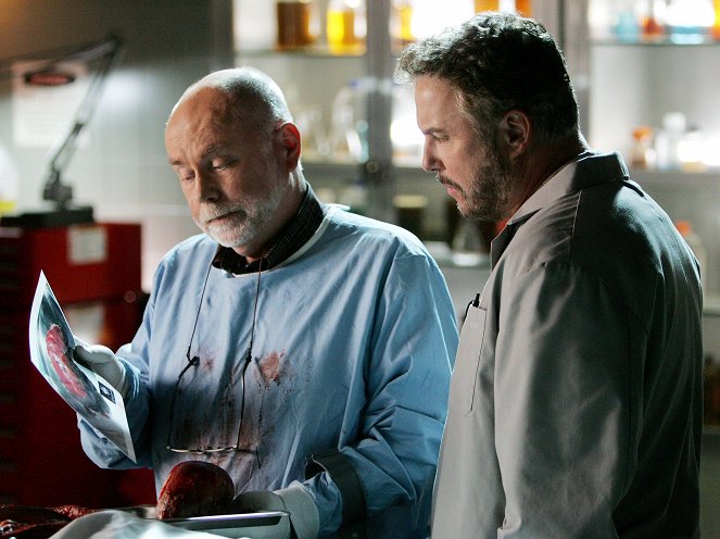 CSI: Crime Scene Investigation - Season 9 - Art Imitates Life - Kuvat elokuvasta - Robert David Hall, William Petersen