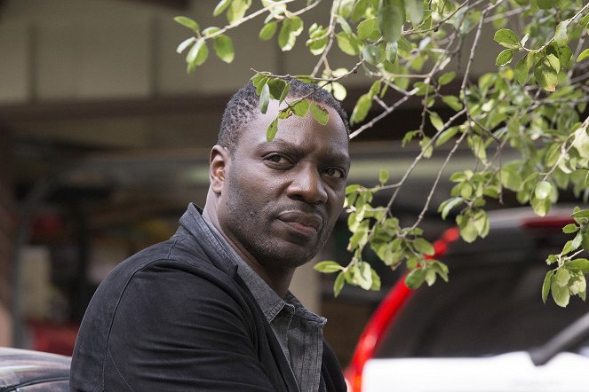 Ten Days in the Valley - Day 1: Fade In - Filmfotók - Adewale Akinnuoye-Agbaje