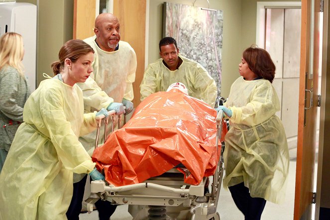 Grey's Anatomy - Can't Fight This Feeling - Photos - James Pickens Jr., Chandra Wilson