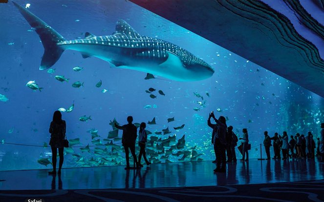 Das größte Aquarium der Welt - Bauprojekt der Superlative - Filmfotos