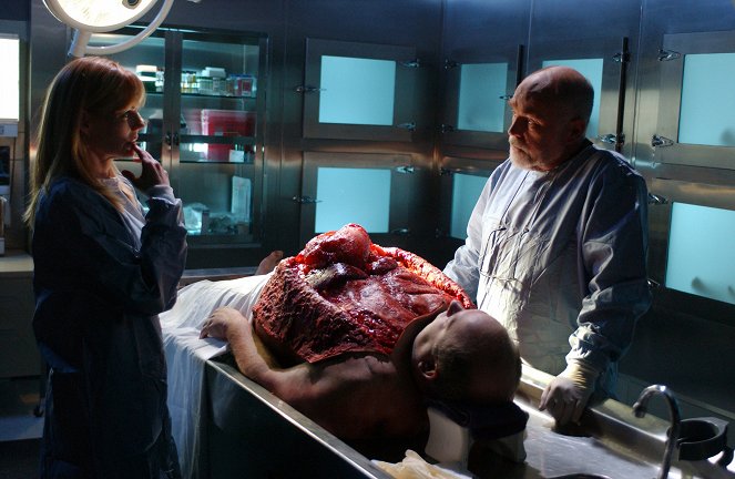 CSI - Den Tätern auf der Spur - Season 6 - Das große Fressen - Filmfotos - Marg Helgenberger, Robert David Hall