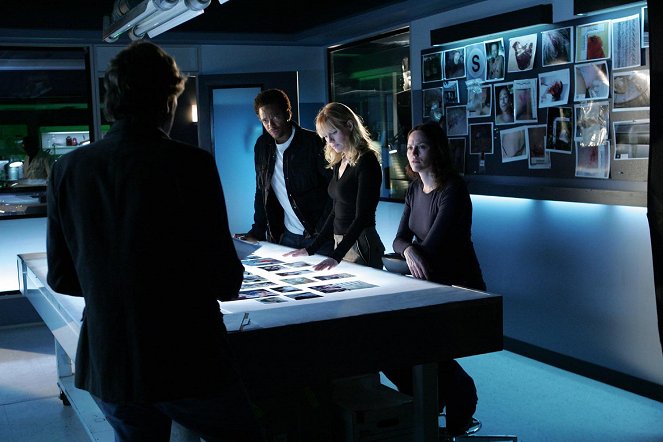 CSI: Crime Scene Investigation - Season 6 - Still Life - Photos - Gary Dourdan, Marg Helgenberger, Jorja Fox