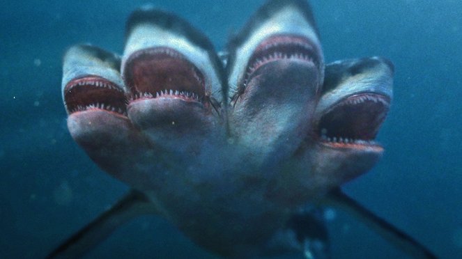Ötfejű cápa - Filmfotók