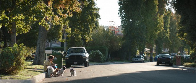 Four Dogs - Van film