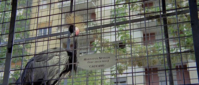 Pták s křišťálovým peřím: Přízrak teroru - Z filmu