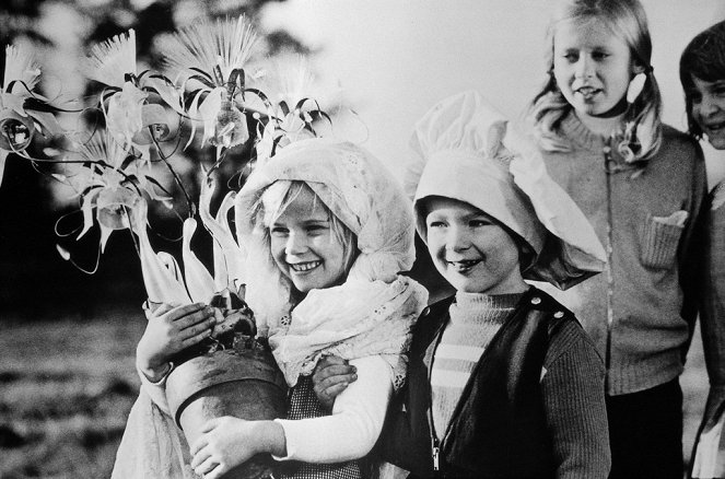 Blumen für den Mann im Mond - Photos