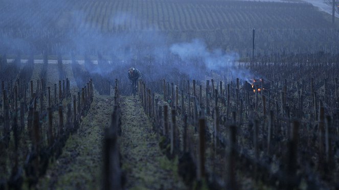 Etikettenschwindel - Der große Weinskandal - Filmfotos