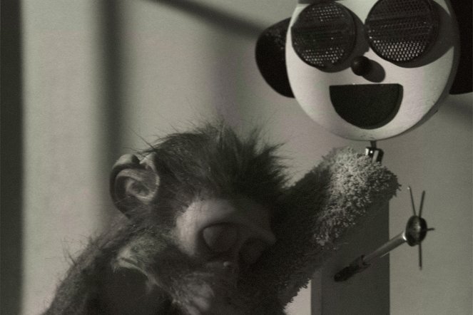 Monkey Love Experiments - Do filme