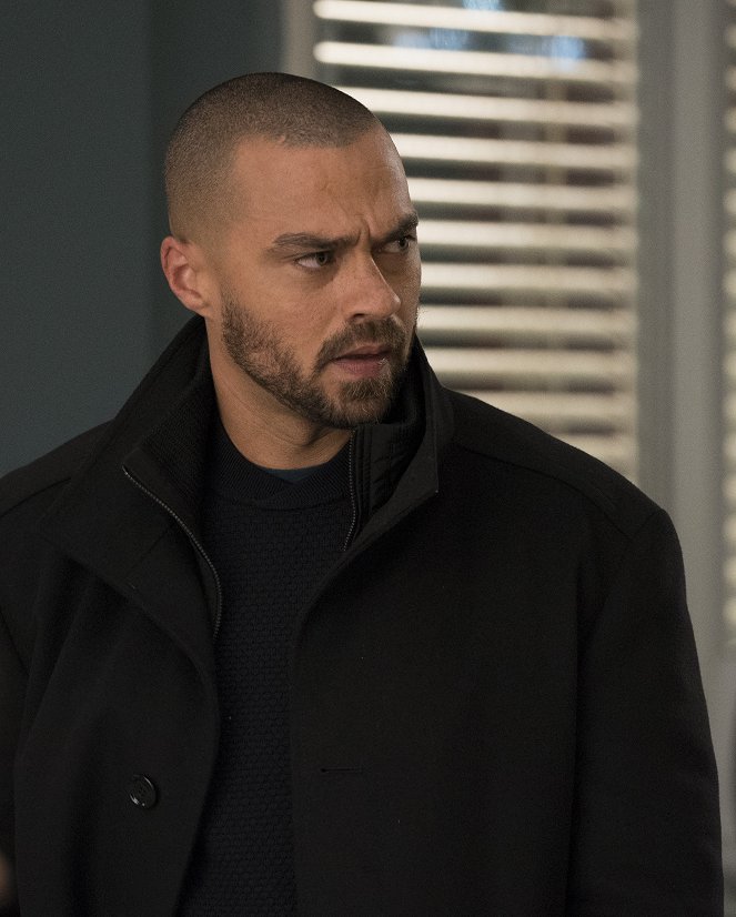Grey's Anatomy - Who Lives, Who Dies, Who Tells Your Story - Van film - Jesse Williams