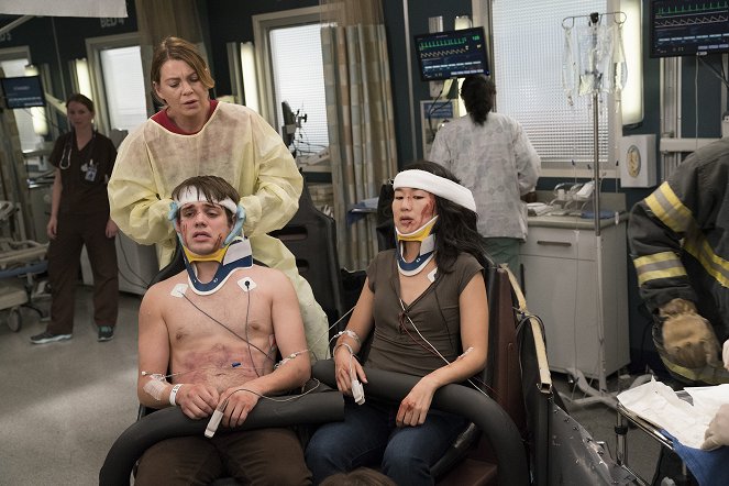 Grey's Anatomy - Who Lives, Who Dies, Who Tells Your Story - Van film - Ellen Pompeo