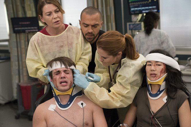 Grey's Anatomy - Season 14 - Passé composé - Film - Ellen Pompeo, Jesse Williams, Sarah Drew