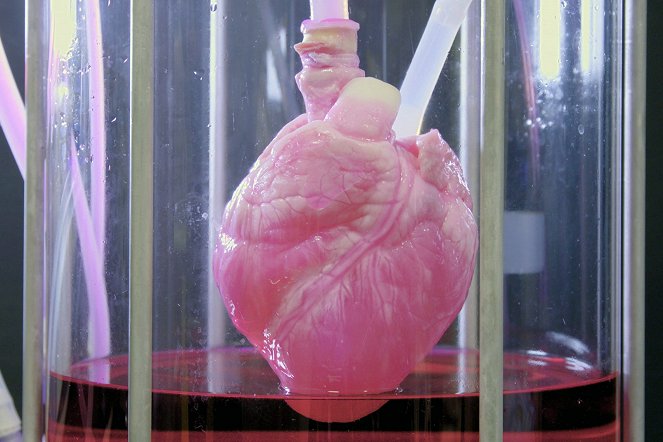 Herz aus dem Labor? - Neue Chancen für ein zweites Leben - Film