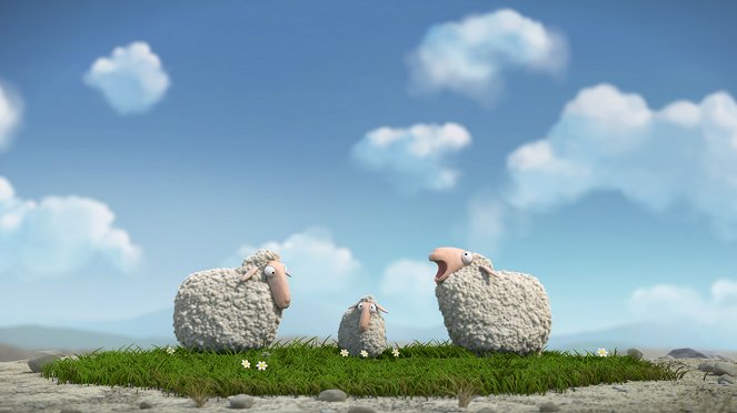Ovce - Z filmu