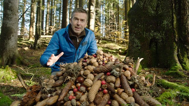 Terra X: Faszination Erde - mit Dirk Steffens: Planet der Wälder - Photos - Dirk Steffens