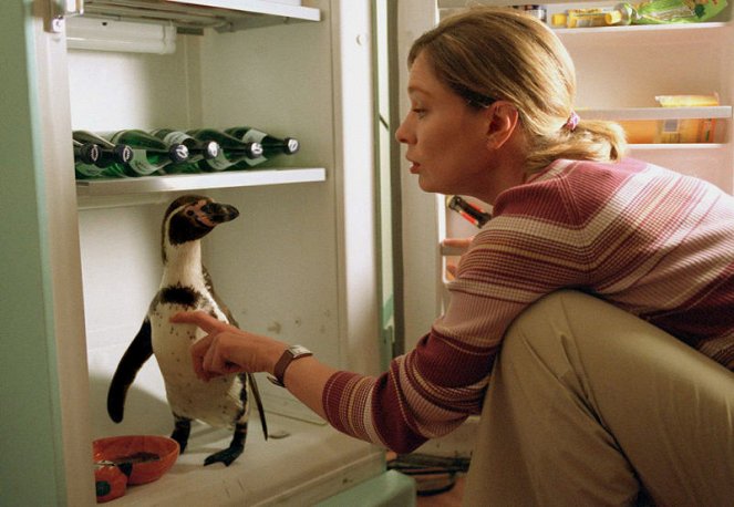 Amundsen der Pinguin - Filmfotók - Charly der Pinguin, Katja Weitzenböck