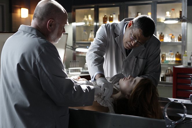 CSI: Crime Scene Investigation - Season 9 - Miscarriage of Justice - Photos - Robert David Hall, Laurence Fishburne